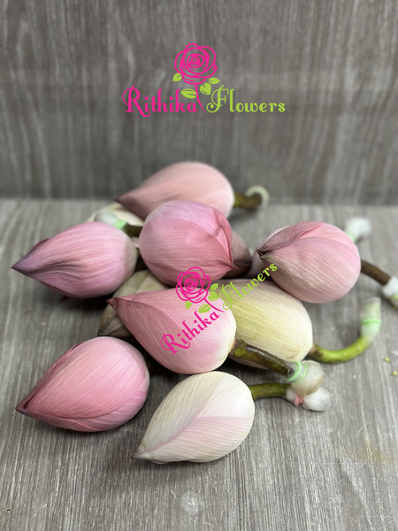 Flowers F-005