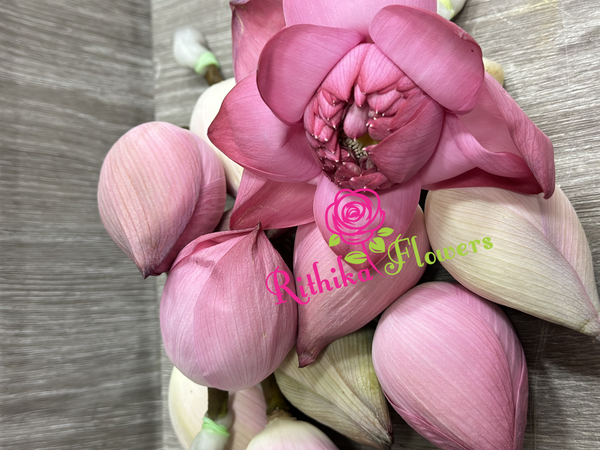 Flowers F-005